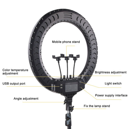 21 Inch LED Ring Light with Stand & Phone Holder – Makeup Beauty Vlogging Video
