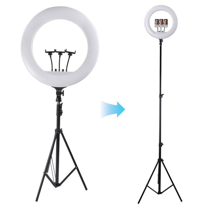 21 Inch LED Ring Light with Stand & Phone Holder – Makeup Beauty Vlogging Video